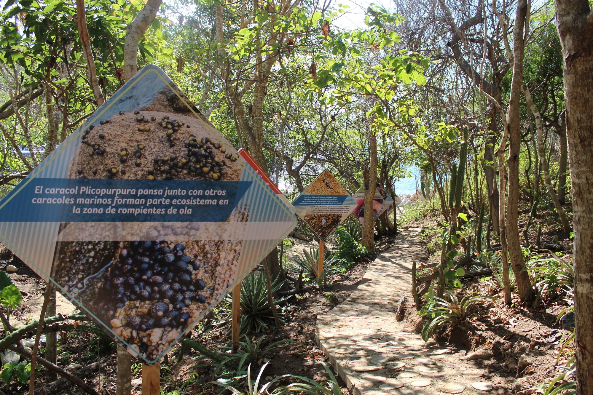 Isla Natura Beach Huatulco Santa Cruz Huatulco Εξωτερικό φωτογραφία
